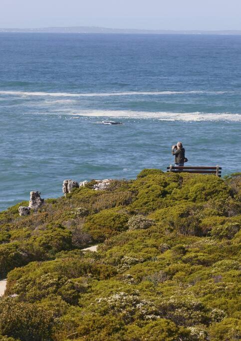 Heartwood Cottage Hermanus Exterior foto