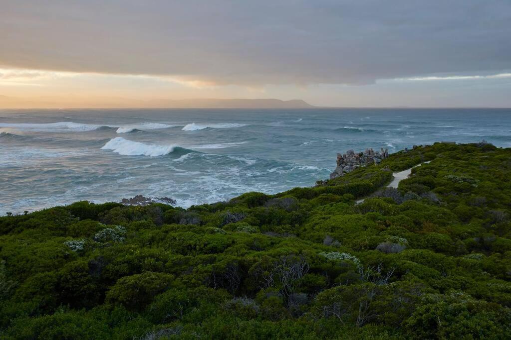 Heartwood Cottage Hermanus Exterior foto